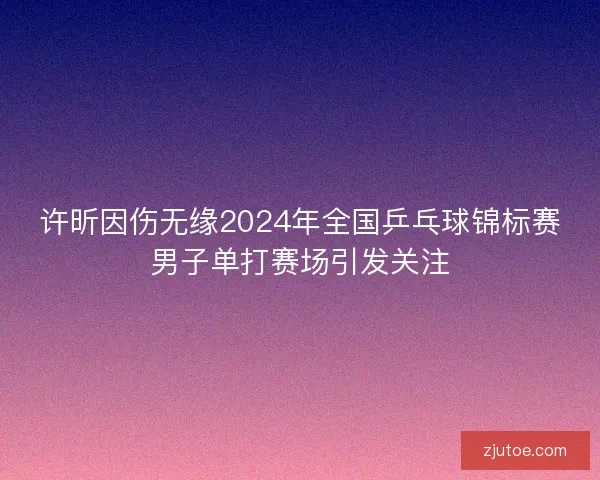 许昕因伤无缘2024年全国乒乓球锦标赛男子单打赛场引发关注