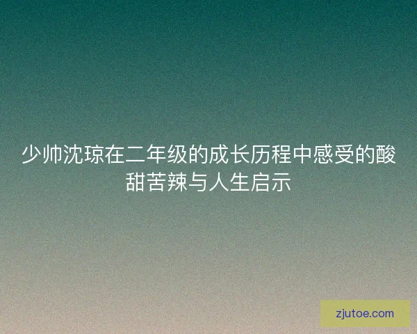 少帅沈琼在二年级的成长历程中感受的酸甜苦辣与人生启示