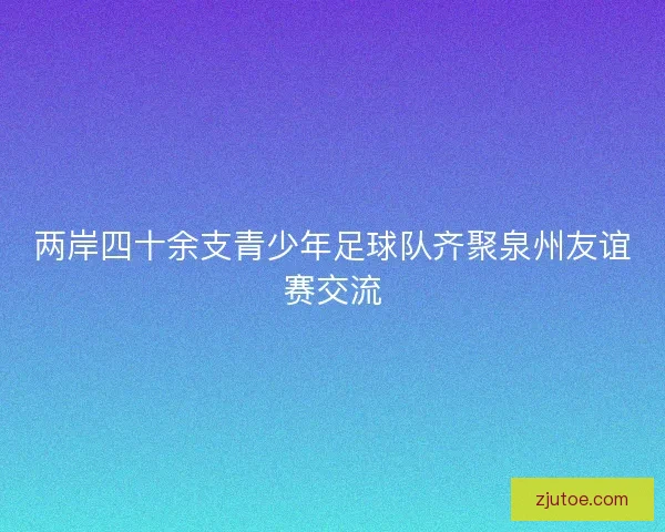 两岸四十余支青少年足球队齐聚泉州友谊赛交流